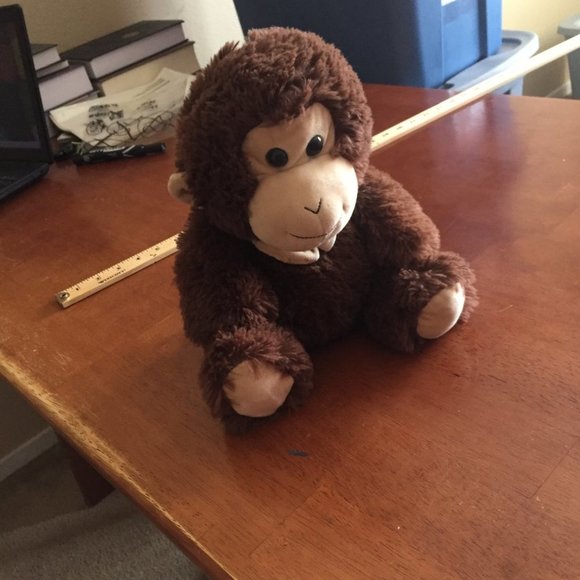Brown Smiley Monkey - Picture 7 of 7